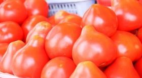 Потрясающие свойства домашнего кетчупа: откровения в 20 минут